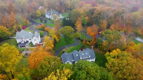 Enchanting Autumn Forests with Beautiful Piano Music