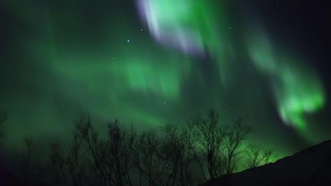 Tromso Lights - Northern Lights (Aurora Borealis) in Tromsø, Norway.