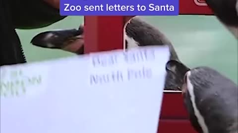 Penguins at the London Zoo sent letters to Santa