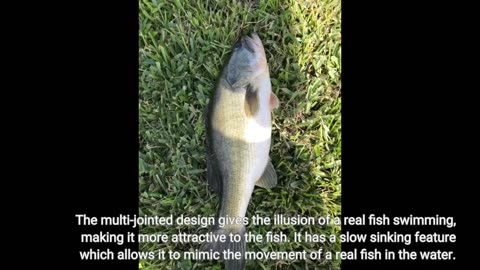 Buyer Feedback: TRUSCEND Fishing Lures for Bass Trout, Multi Jointed Swimbaits, Slow Sinking Bi...