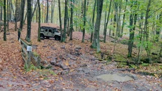 Jeep ride in the forest trails