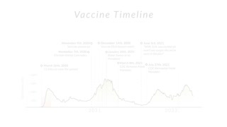 Vaccine Skepticism - COVID Chronicle