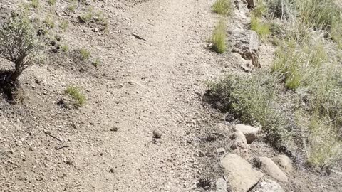 Walking the trail in Wyoming