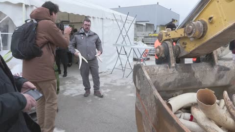 Nearly two tons of ivory destroyed by NGOs in France