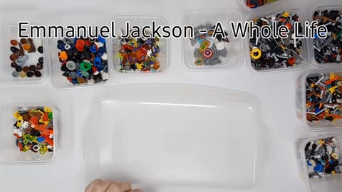Sorting Lego Minifigure Accessories with Mozart & Jackson3/3