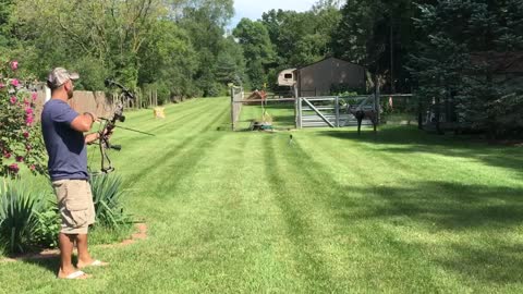 Bow-shooting father surprises family at gender reveal party