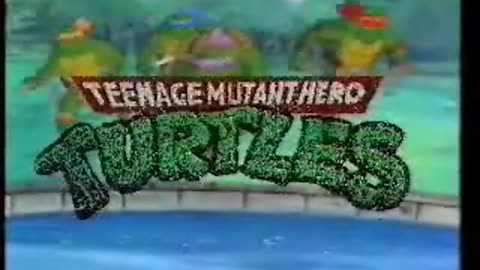 teenage mutant HERO turtles intro