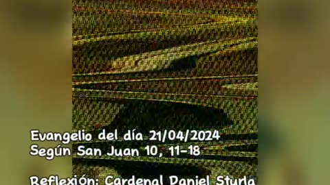Evangelio del día 21/04/2024 según San Juan 10, 11-18 - Cardenal Daniel Sturla