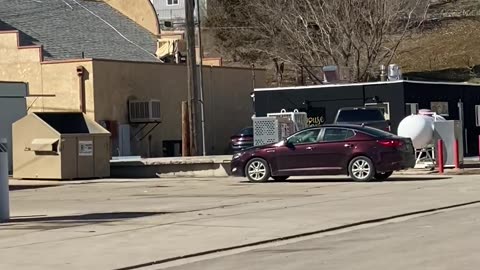 Canine Car Surfing