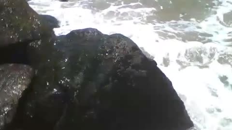 The ocean waves hit the rocks very hard, near the beach [Nature & Animals]