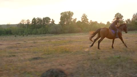 Woman riding horse by gallop at sunset. Horseback riding in slow motion