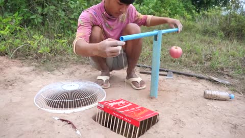 Easy underground parrot Trap using PVC pipe cardboard & apple fruit _Bird trap working 100%