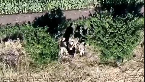 Ukrainian border guards chase a man trying to flee the country and avoid forced conscription.