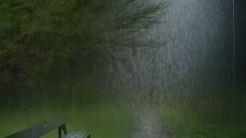 Nature love Rain