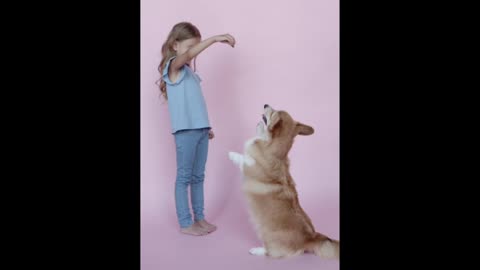 cute baby play with cute dog A #shorts #viral #comedy #puppy #dog