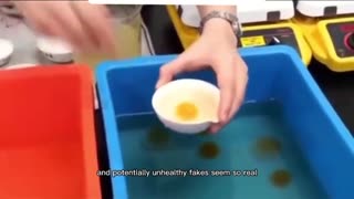 Fake Eggs from China already in the market