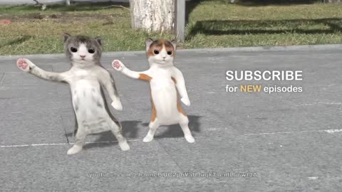 Dancing cats