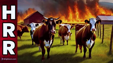 TEXAS WILDFIRES are a staged attack on the BEEF industry