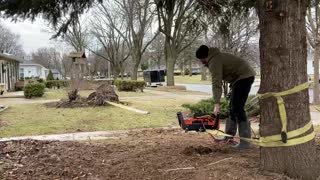 Winch Tree Removal