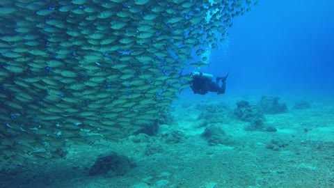 The magic of the Red Sea