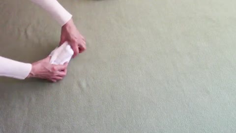 Towel Folding - How to Make a Towel Animal Lizard; Towel Origami; Towel Art; Animal de toalla