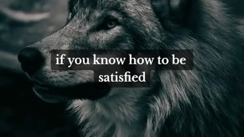 Lone wolf motivation