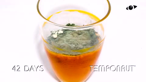 Timelapse Carrot Juice