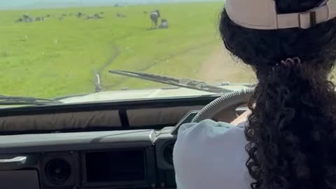 Michelle get used to Safari Jeep