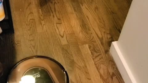 German Shepherd Tries To Get Robot Vacuum to Play Ball