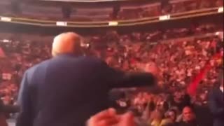 UFC 287 crowd in Miami