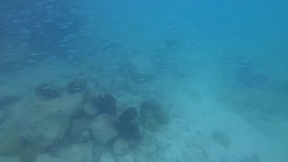 Freedive at dusk.