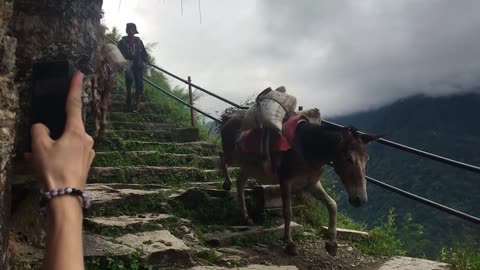 Nepal Part III