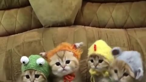 Me and the gang in cute hats :3