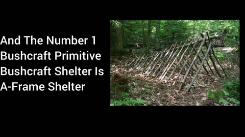 Allen's Top 4 Pros And Cons Bushcraft Primitive Shelters