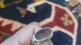 Ring handmade with saluki and falcon