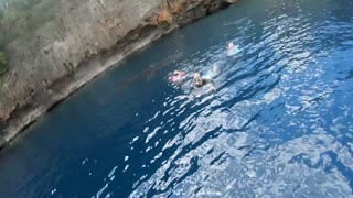 Whale Shark Shows up to Family Swim with Turtles