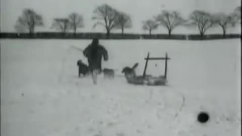 Driving With Greenland Dogs (1897 Film) -- Directed By Peter Elfelt -- Full Movie
