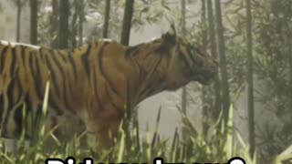 Deadly Tiger