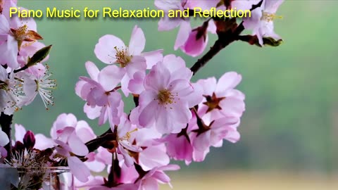 Piano Music for Relaxation and Reflection