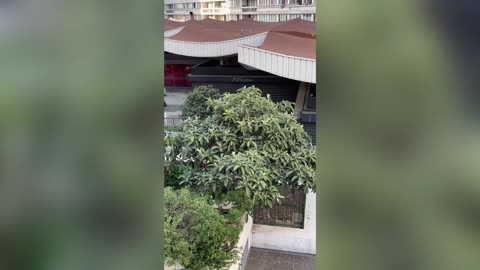 YOU SILLY STUNT: Free Runner Crashes Into Roof In Fall Fail