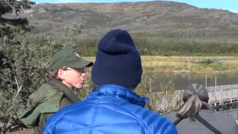 Brown Bear viewing at Brooks Falls Alaska USA (Part 3)