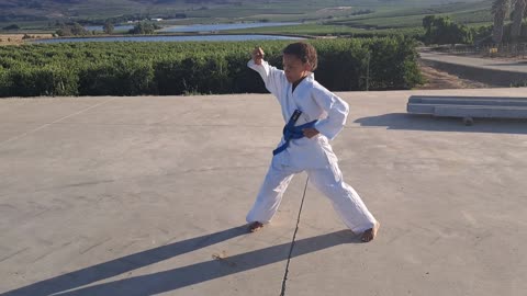 A3 - Jaydene Geduld - Blue - Pinan Nidan