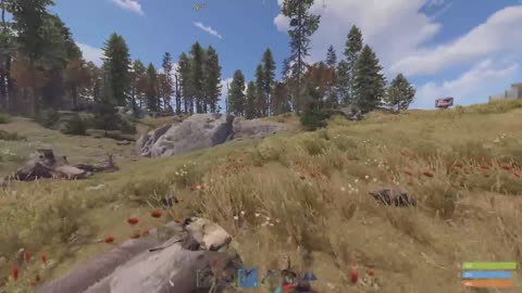 game I Spent 24 Hours Playing Rust