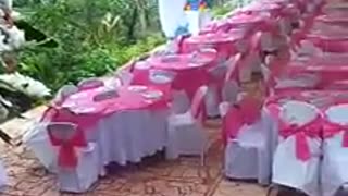 Tauhai wedding reception