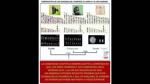 Darwin, el Humorista - La Teoría de la Evolución es Falsa (documental completo)