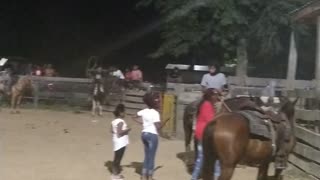 Rodeo fun