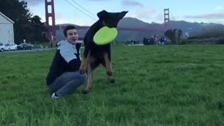 Dog catching frisbee in slow motion