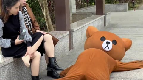 Brown bear teases girl in park 53