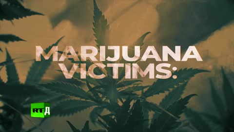 Marijuana victims: Colorado