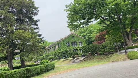 Scene of Yonsei University in the spring, Korea
